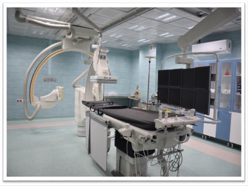 Peripheral Angiography section