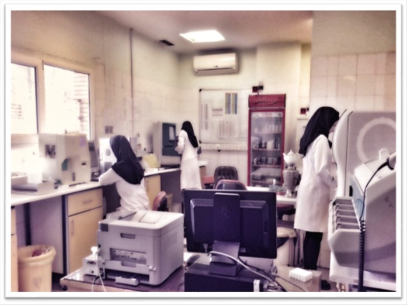  Equipping and renovating the laboratory  in 2016.