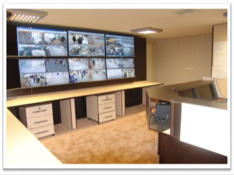 Monitoring system and CCTV cameras of the center (2016).